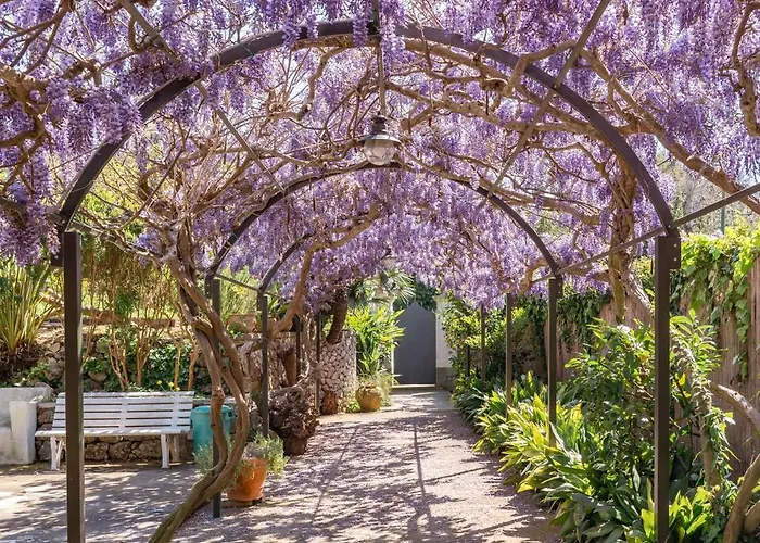 Marino In Aurora * Capri