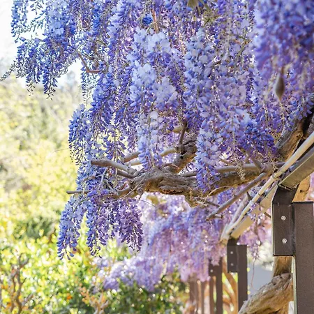 Marino In Aurora Villa