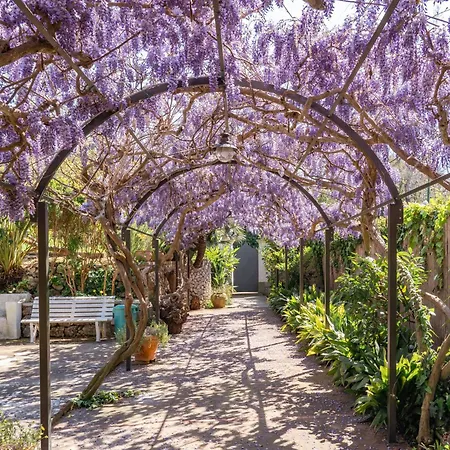 Marino In Aurora * Capri